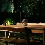 Ktima Theofilos - Frideriki