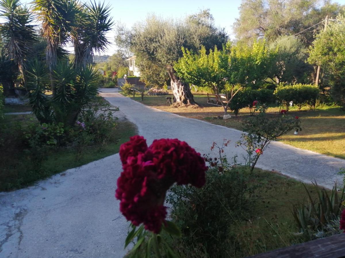 Ktima Theofilos - Frideriki * Petriti (Corfu)