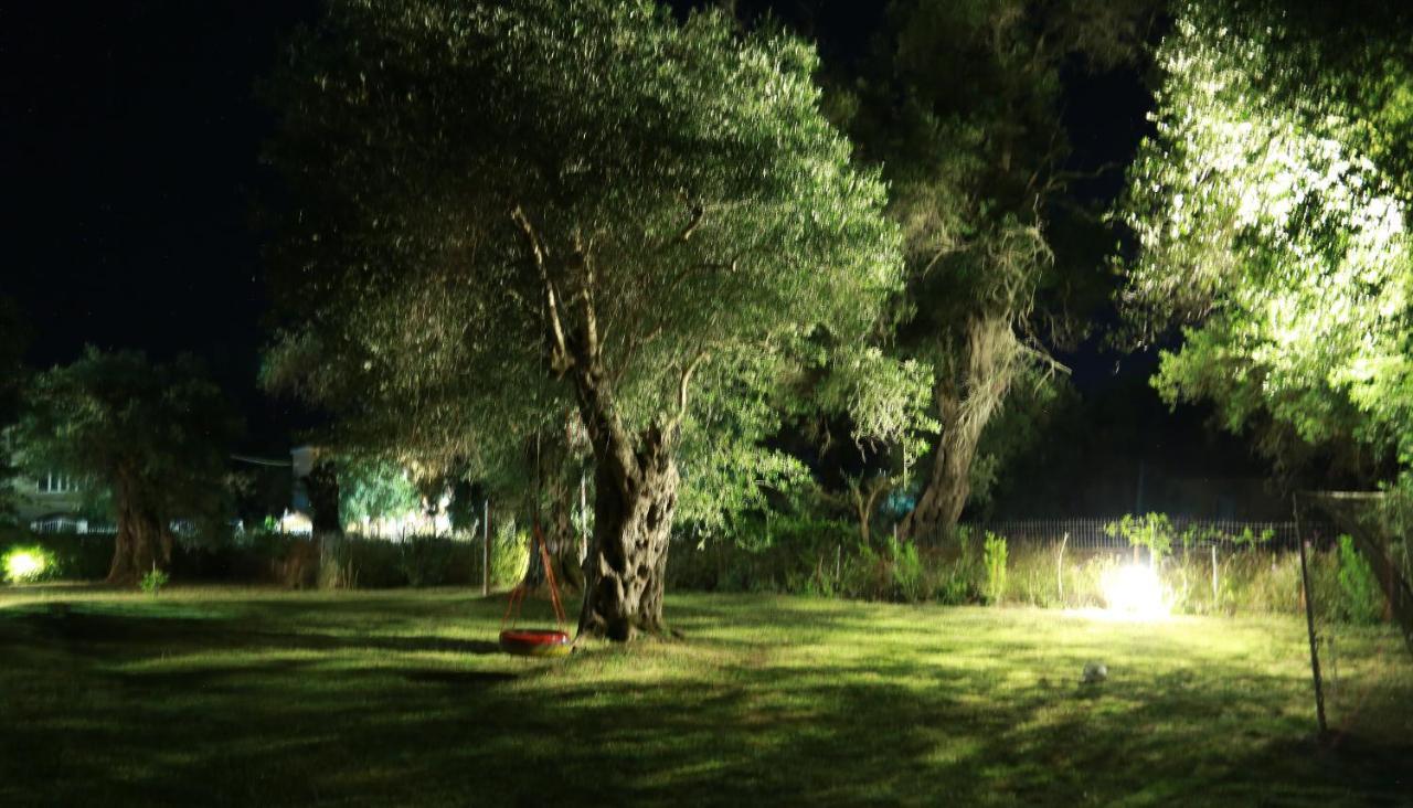 Guest house Ktima Theofilos - Frideriki Petriti (Corfu)