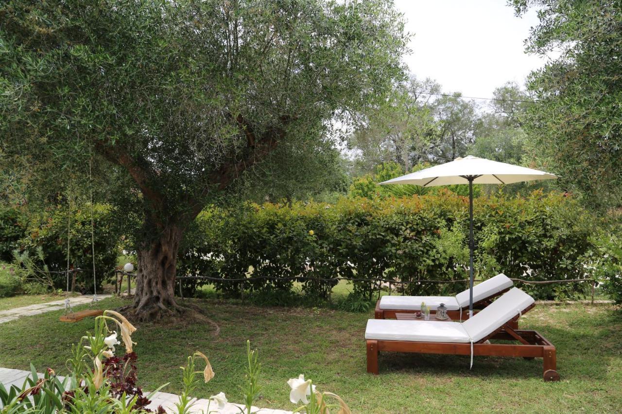 Ktima Theofilos - Frideriki * Petriti (Corfu)
