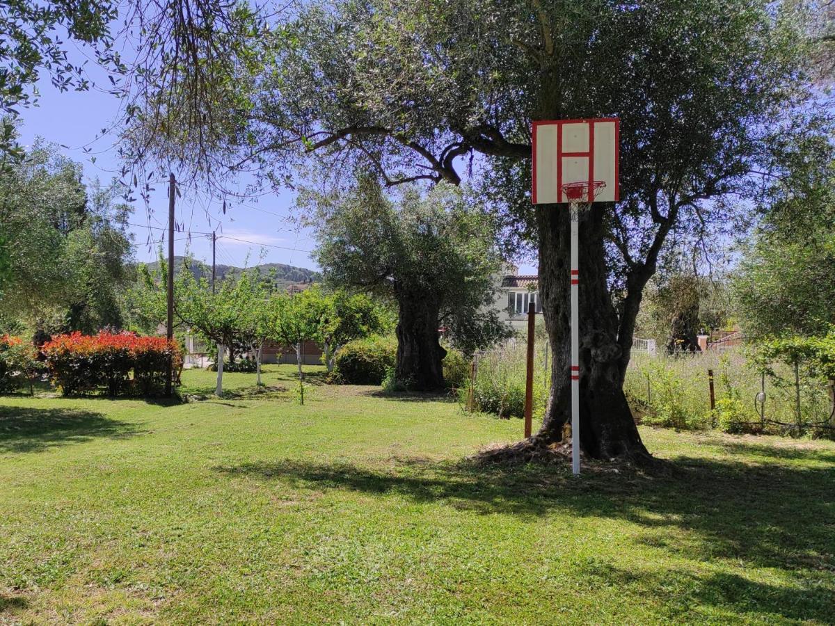 Ktima Theofilos - Frideriki