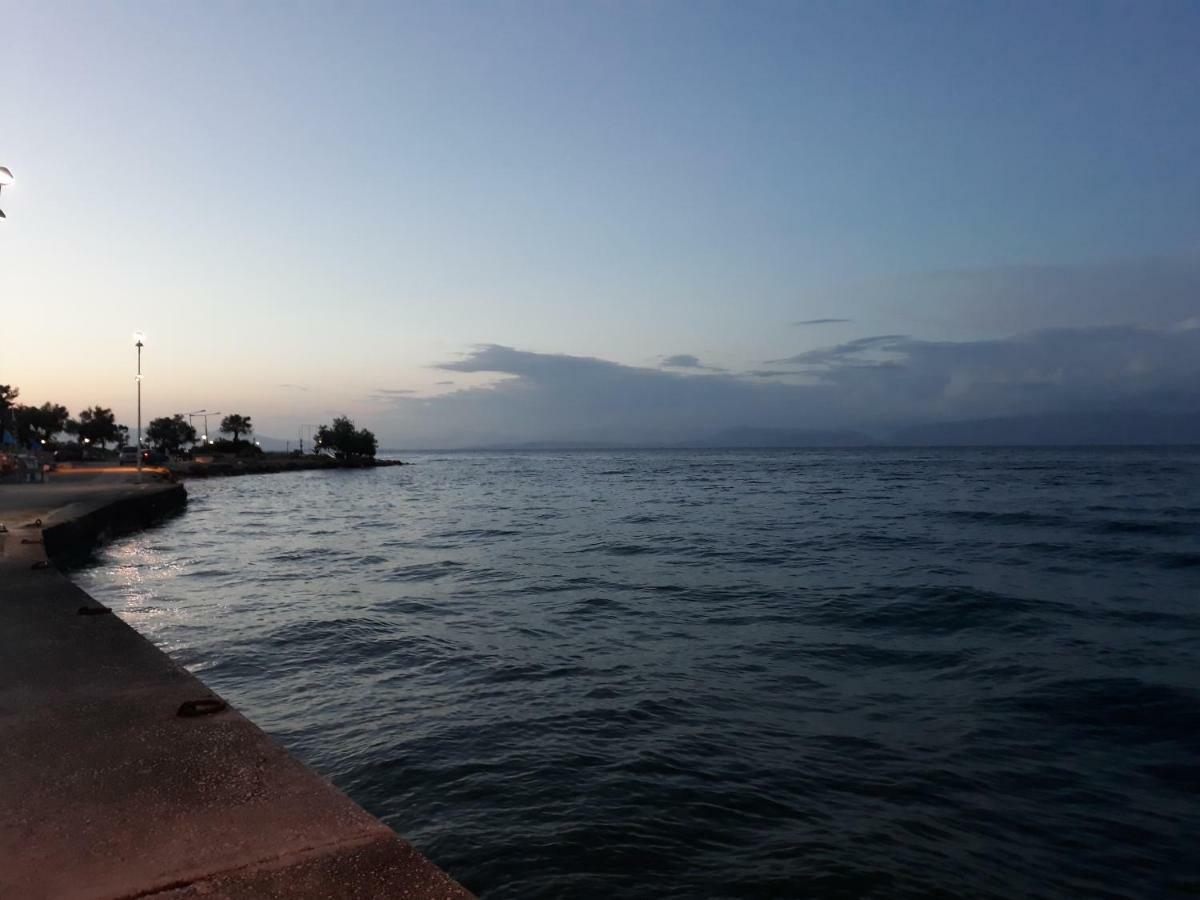 Ktima Theofilos - Frideriki Petriti (Corfu)