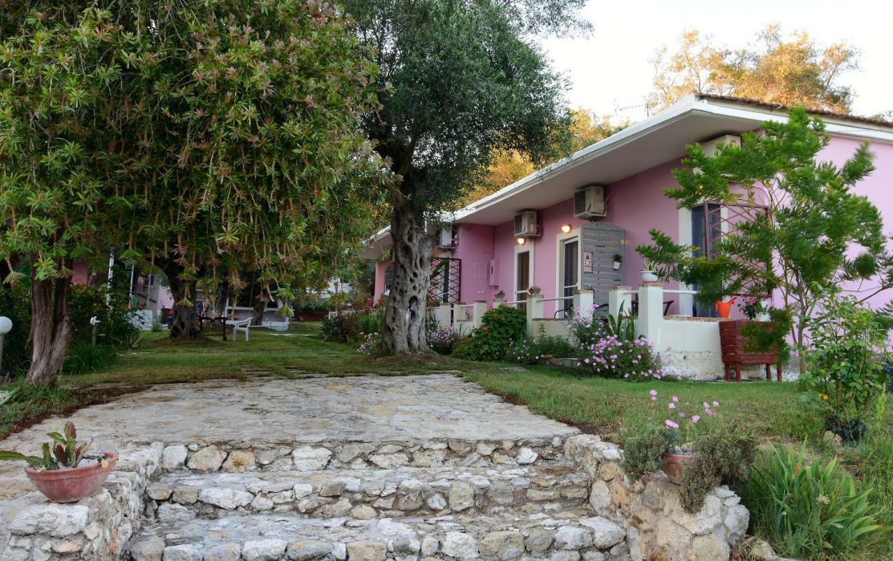 Ktima Theofilos - Frideriki Petriti (Corfu)