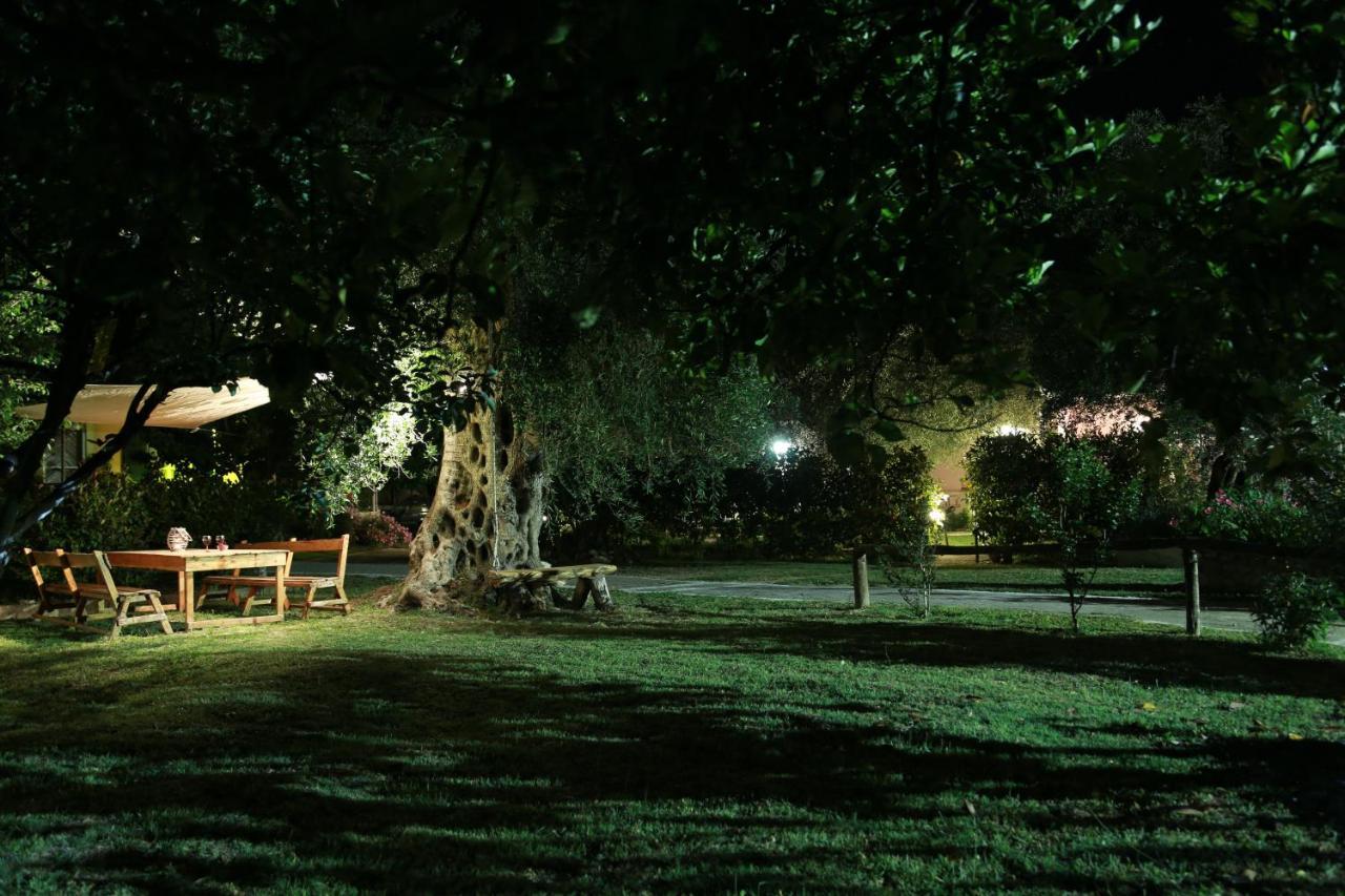 Guest house Ktima Theofilos - Frideriki Petriti (Corfu)