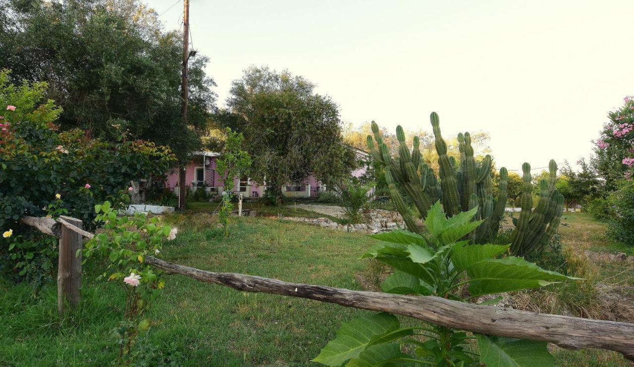 Ktima Theofilos - Frideriki