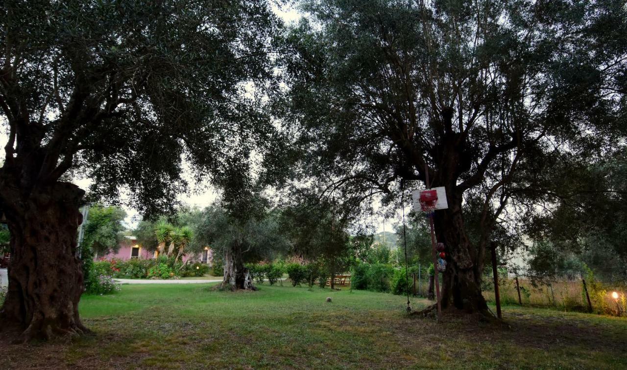 Guest house Ktima Theofilos - Frideriki Petriti (Corfu)
