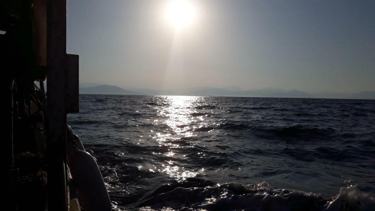 Ktima Theofilos - Frideriki Guest house *